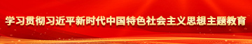 大逼直流水学习贯彻习近平新时代中国特色社会主义思想主题教育